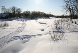 Снежный покров в Московской области. Наша оценка на 16 января. 