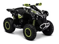 Расширители арок для квадроцикла BRP Renegade