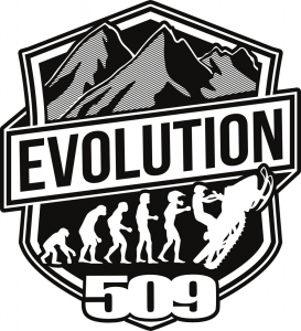 Наклейка Evolution – 4" [ 509-STK-EV4-10 ]