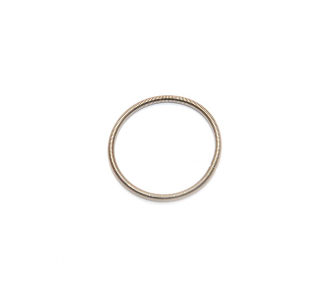 Кольцо пружина RAVE клапана Sea-doo 420838253 420838255