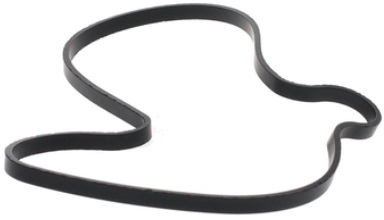 420630270 Прокладка Помпы Для BRP Can Am