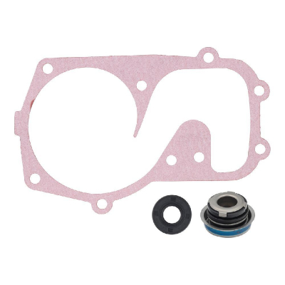 Ремкомплект помпы охлаждения снегохода Polaris Titan Pro RMK Axys SKS Switchback Assault Widetrak IQ 10-721310