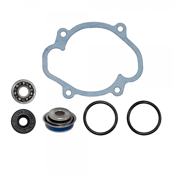 Ремкомплект помпы охлаждения SPI для снегохода Ski-Doo SM-10103 420430053