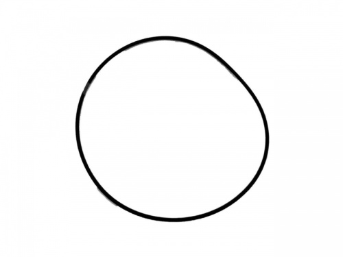 Кольцо уплотнительное (O-RING) снегохода Polaris 5411675