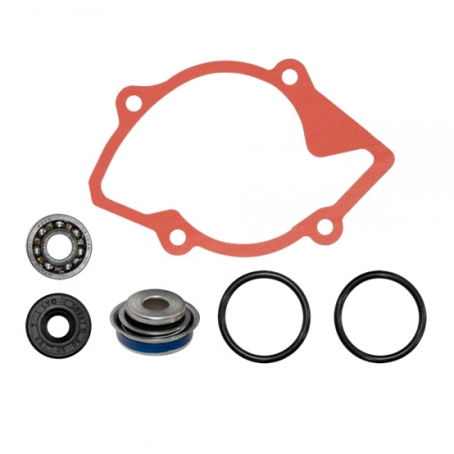 Ремкомплект помпы охлаждения SPI для снегохода Ski-Doo SM-10101 420931812