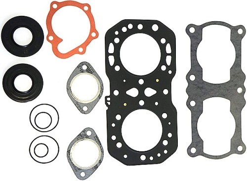Комплект прокладок двигателя с сальниками Polaris Widetrak LX Classic 500 711253