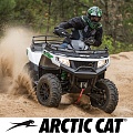 Arctic Cat