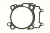 Прокладка цилиндра для квадроцикла Polaris Sportsman   RZR   Ranger 570 5254903 5260934