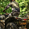 Расширитель багажной платформы LinQ для BRP Can-Am Outlander G3L 715010186