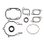 Комплект прокладок с сальниками снегохода BRP Ski-Doo 420992068 420992069 09-711195