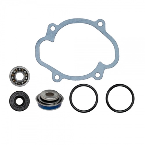 Ремкомплект помпы охлаждения SPI для снегохода Ski-Doo SM-10103 420430053